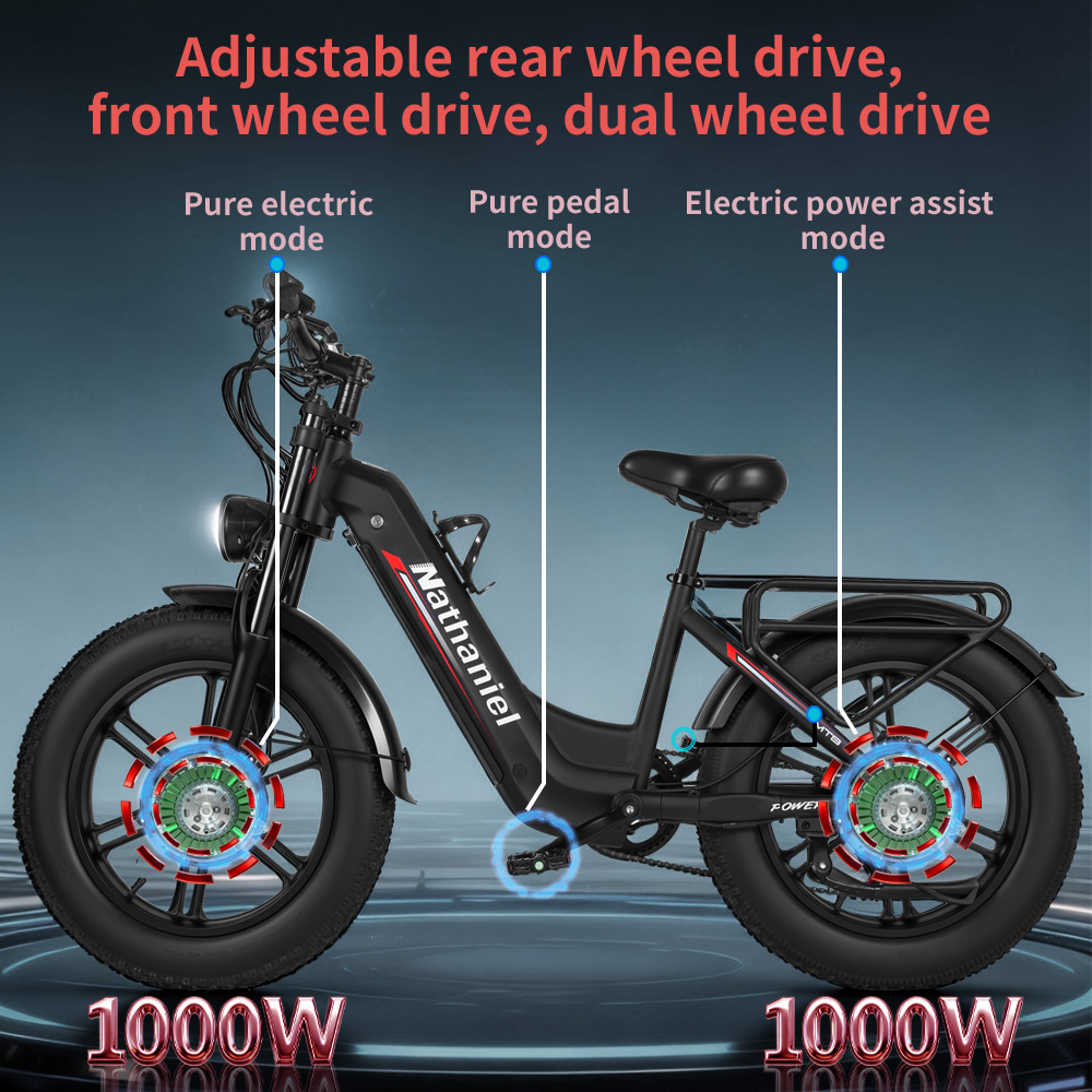 Elektrofahrrad für Erwachsene  – Dual Motor Ebike Kit 2000W Bewertung und Preis
